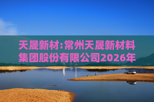 天晟新材:常州天晟新材料集团股份有限公司2026年度向特定对象发行股票方案论证分析报告