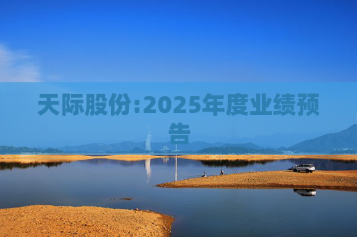 天际股份:2025年度业绩预告
