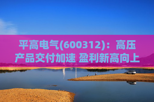 平高电气(600312)：高压产品交付加速 盈利新高向上突破