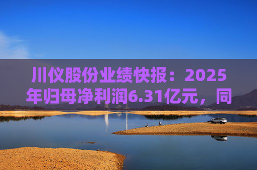 川仪股份业绩快报：2025年归母净利润6.31亿元，同比下降18.96%