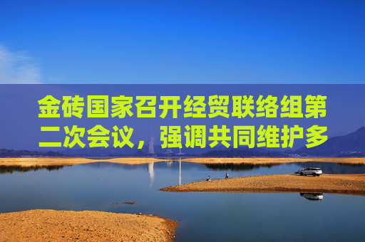 金砖国家召开经贸联络组第二次会议，强调共同维护多边贸易体制，反对单边主义和贸易保护主义  第1张
