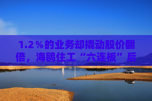 1.2％的业务却撬动股价翻倍，海鸥住工“六连板”后跌停，在越建厂能否扛住关税冲击？