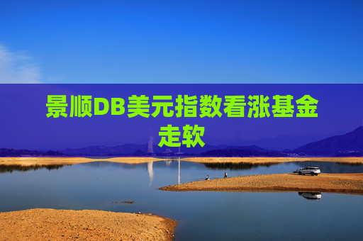 景顺DB美元指数看涨基金走软
