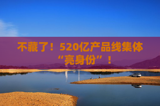 不藏了！520亿产品线集体“亮身份”！