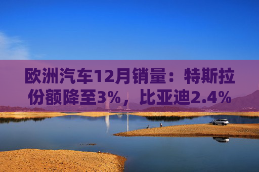 欧洲汽车12月销量：特斯拉份额降至3%，比亚迪2.4%  第1张