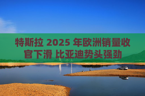 特斯拉 2025 年欧洲销量收官下滑 比亚迪势头强劲