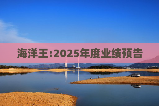 海洋王:2025年度业绩预告