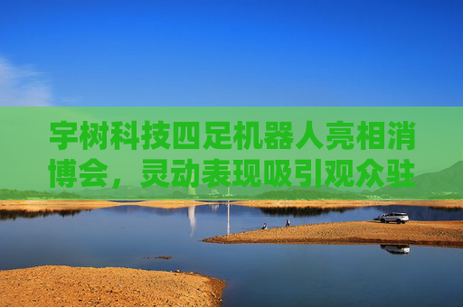 宇树科技四足机器人亮相消博会，灵动表现吸引观众驻足互动