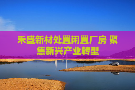 禾盛新材处置闲置厂房 聚焦新兴产业转型  第1张