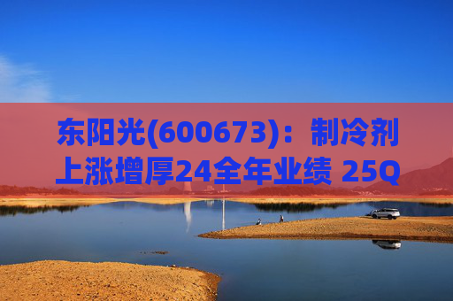 东阳光(600673)：制冷剂上涨增厚24全年业绩 25Q1业绩略超预期 液冷与具身智能共创未来
