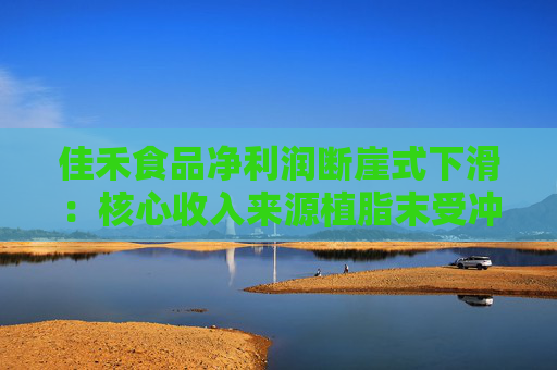 佳禾食品净利润断崖式下滑：核心收入来源植脂末受冲击 毛利率不断下滑