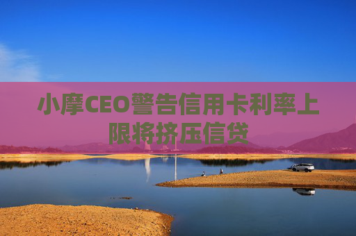 小摩CEO警告信用卡利率上限将挤压信贷