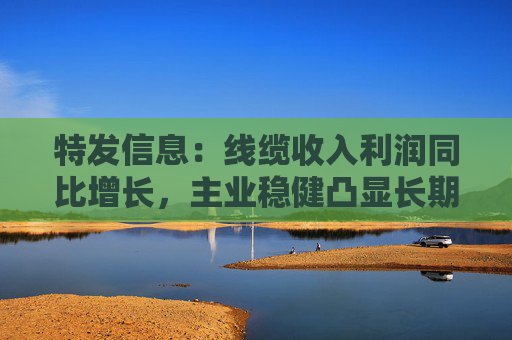 特发信息：线缆收入利润同比增长，主业稳健凸显长期潜力