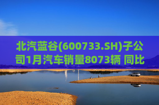 北汽蓝谷(600733.SH)子公司1月汽车销量8073辆 同比增长11.83%