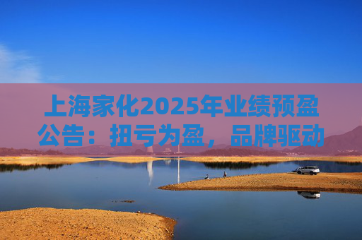 上海家化2025年业绩预盈公告：扭亏为盈，品牌驱动重回增长轨道