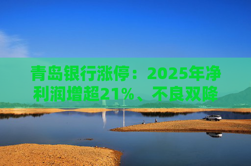 青岛银行涨停：2025年净利润增超21%、不良双降