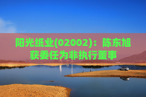 阳光纸业(02002)：陈东旭获委任为非执行董事