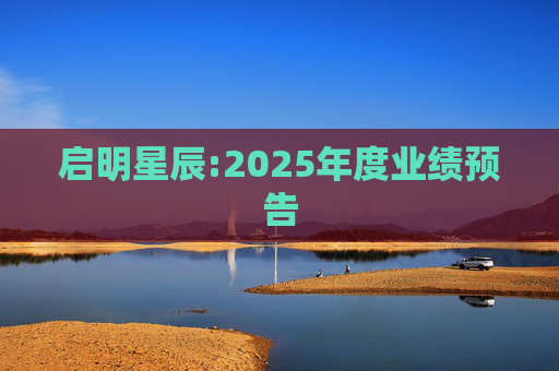 启明星辰:2025年度业绩预告