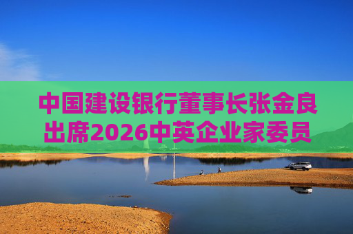 中国建设银行董事长张金良出席2026中英企业家委员会会议