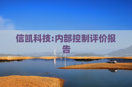 信凯科技:内部控制评价报告  第1张