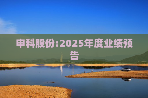 申科股份:2025年度业绩预告