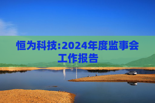 恒为科技:2024年度监事会工作报告