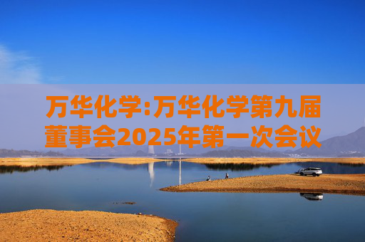 万华化学:万华化学第九届董事会2025年第一次会议决议公告