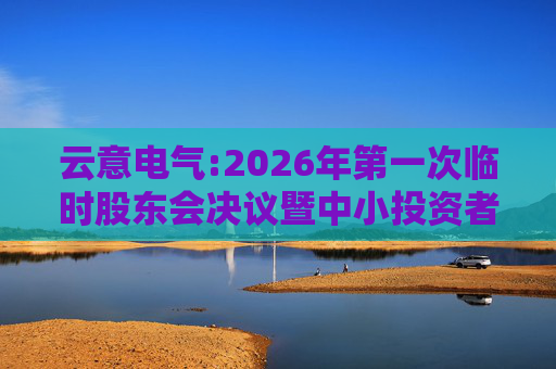 云意电气:2026年第一次临时股东会决议暨中小投资者表决结果公告