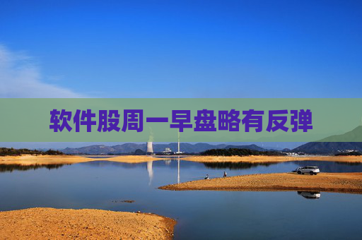 软件股周一早盘略有反弹