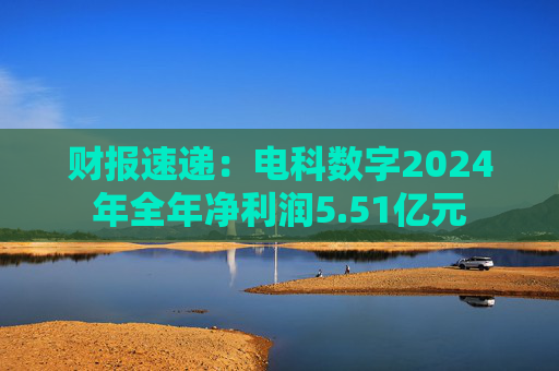 财报速递：电科数字2024年全年净利润5.51亿元