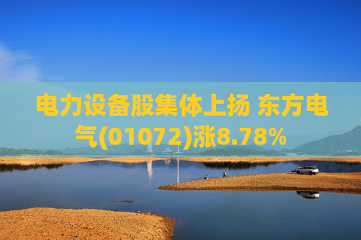 电力设备股集体上扬 东方电气(01072)涨8.78%