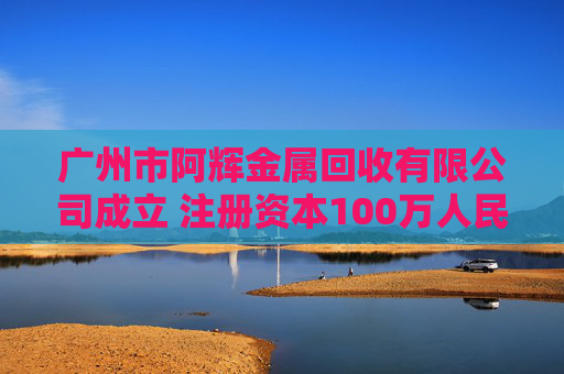 广州市阿辉金属回收有限公司成立 注册资本100万人民币