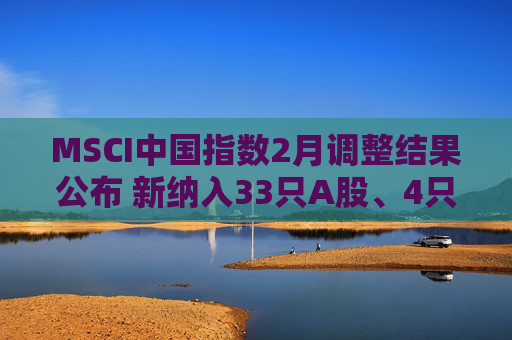 MSCI中国指数2月调整结果公布 新纳入33只A股、4只港股标的
