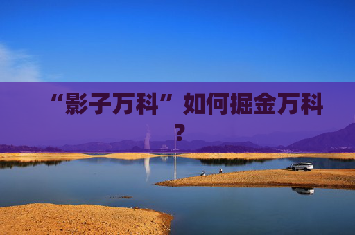 “影子万科”如何掘金万科？