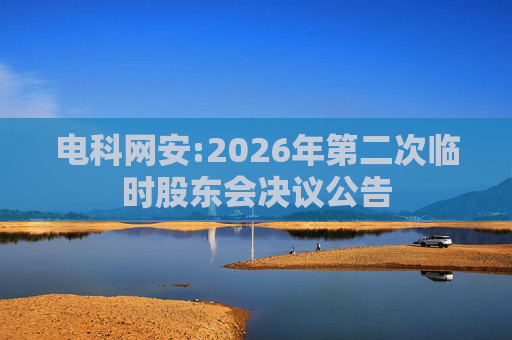 电科网安:2026年第二次临时股东会决议公告