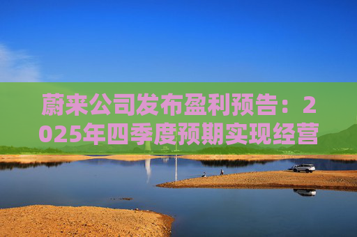 蔚来公司发布盈利预告：2025年四季度预期实现经营利润7亿至12亿元  第1张