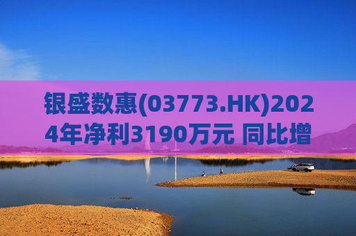银盛数惠(03773.HK)2024年净利3190万元 同比增加约94.5%  第1张