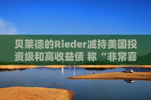 贝莱德的Rieder减持美国投资级和高收益债 称“非常喜欢”新兴市场