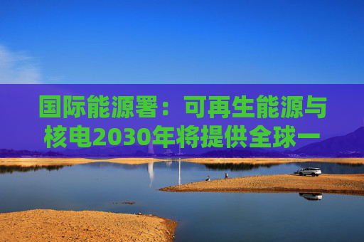 国际能源署：可再生能源与核电2030年将提供全球一半电力
