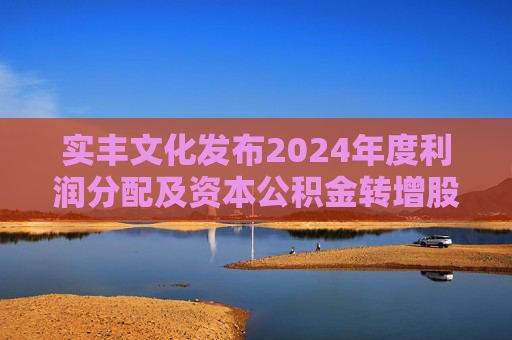 实丰文化发布2024年度利润分配及资本公积金转增股本预案