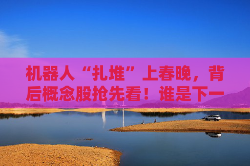 机器人“扎堆”上春晚，背后概念股抢先看！谁是下一个“宇树”？