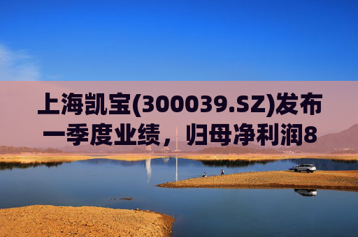 上海凯宝(300039.SZ)发布一季度业绩，归母净利润8429.28万元，下降4.71%  第1张