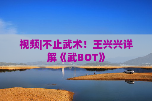 视频|不止武术！王兴兴详解《武BOT》
