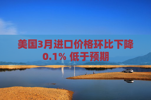 美国3月进口价格环比下降0.1% 低于预期
