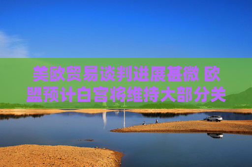 美欧贸易谈判进展甚微 欧盟预计白宫将维持大部分关税不变