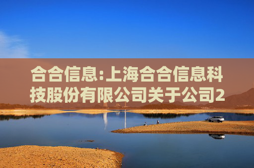 合合信息:上海合合信息科技股份有限公司关于公司2025年度对外担保预计的公告