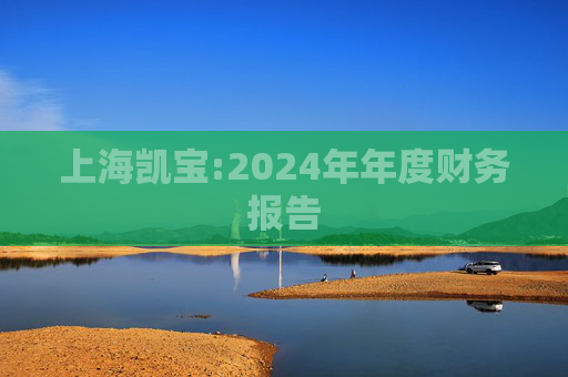 上海凯宝:2024年年度财务报告