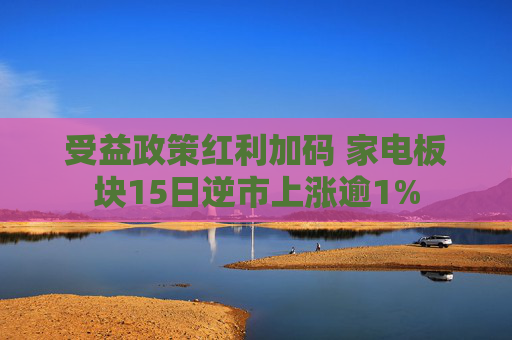 受益政策红利加码 家电板块15日逆市上涨逾1%