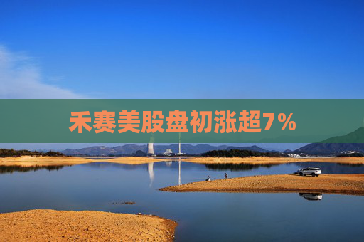禾赛美股盘初涨超7%