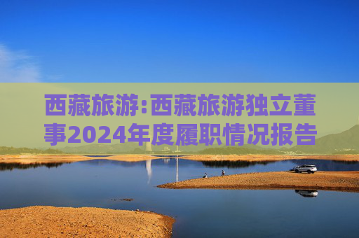 西藏旅游:西藏旅游独立董事2024年度履职情况报告（崔学刚）